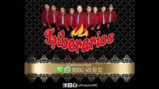 La embarradita - Liberarios