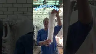 7 сентября 2024 г.