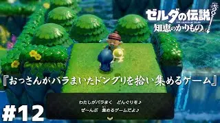 おじさんは…なぜこの活動を？【ゼルダの伝説 知恵のかりもの】＃１２