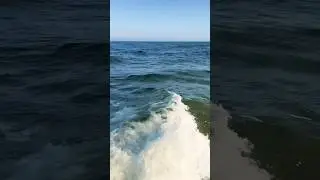 The sound of waves and wind 