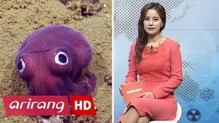 InfoScope(Ep.47) _ Full Episode