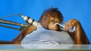 муд по жизни