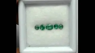 0 50cts  5pcs  Green Columbia Emerald