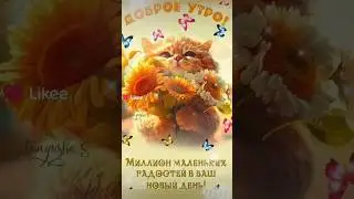 С добрым утром, Друзья! Миллион маленьких радостей в Ваш новый день!