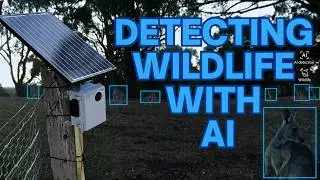 Raspberry Pi Powered AI Wildlife Monitoring System!