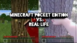 Minecraft Pocket Edition VS. Real Life