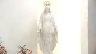 Santa Misa XXI Domingo ordinario 11:00