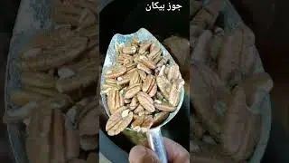 ١٥ سبتمبر ٢٠٢٣