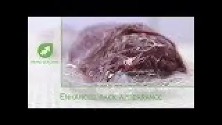 CRYOVAC® brand VS95TS-BC Vacuum Chamber System