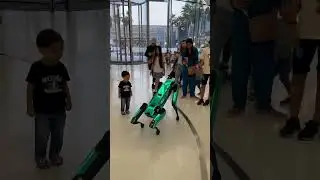 Dubai Museum of the Future