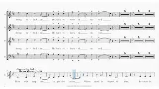 Sing, All the Earth   Tutti