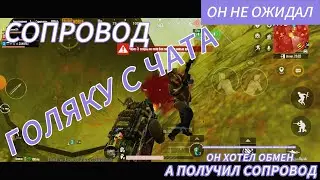 СОПРОВОД ГОЛЯКУ С ЧАТА В ПАБГ МЕТРО РОЯЛЬ #пабг #метророяль #pubgmobile #shortvideo #pubg