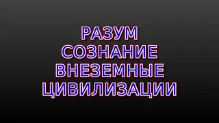 Разум, сознание, внеземные цивилизации