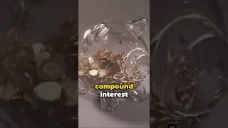 The Power of Compound Interest: Growing Your Wealth
