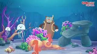 To See The Ocean Animals