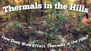 Thermals in the Hill Country | How wind can affect deer travel in hill country?