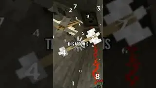 Dumbest Minecraft Player ( -6900 iq)