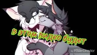 мои любимые каналы