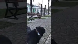 6 января 2021 г.