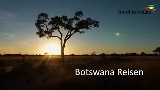 Botswana Reisen mit travel-to-nature