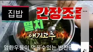 집밥 고추간장조림 스프링니니어