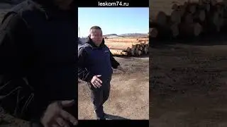 Цены выросли, но будут расти дальше! 