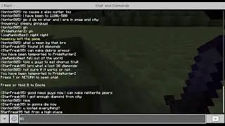 Minecarft | The Streaming