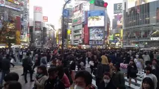 Shibuya Crossing and Idol Advertising Trucks!!!