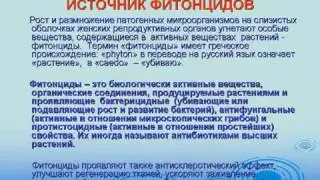 Женские гигиенические прокладки Суньси Лан