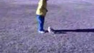 Chihuahua demonstrates rally exercises