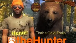theHunter Timbergold Trails .340 Weatherby Bolt Action Rifle first look