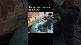 Креосан и поведение в Чернобыльской зоне 