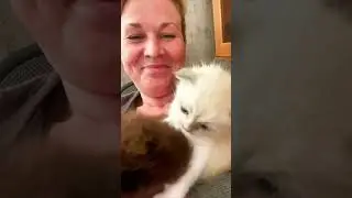 Немножко ми ми мишечек🥰🥰🥰 #колесникованаталья