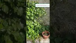 قصة شاب تبكي الحجر شاهد حتى نهاية😭😭😭
