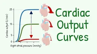 Cardiac Output Curves | Factors Affecting Cardiac Output | Cardiovascular Physiology