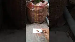Easy science experiment 😍