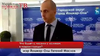 Что будет с часами с осликом: комментарий мэра Йошкар-Олы
