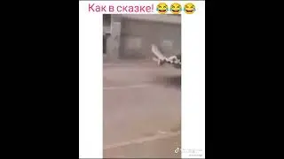 Как в мультике джин и алладин 😂