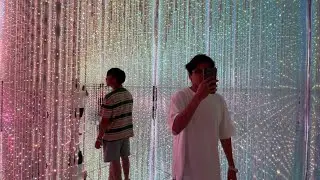 JAPAN ART MUSEUM VLOG!