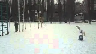 DSCF4417