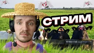 БАНАНЫ, ЯЙЦА ИЛИ ВСЕ ТАКИ КРИПТА?