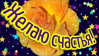 Счастья вам! Отличного настроения! Будьте счастливы всегда!