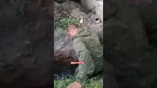 Потекла сыкучка / ГАРДЕЙ И ИВАНЫЧ #топ #рек #волгоград #shortsvideo #shorts #рекомендации #artist