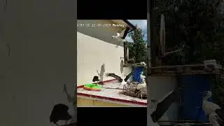 Bad landing 