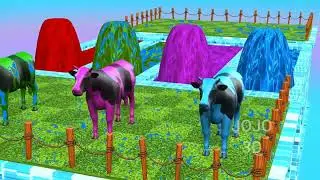 animal crossing animal crossing video,animal crossing fountain,animal crossing game,animal crossing