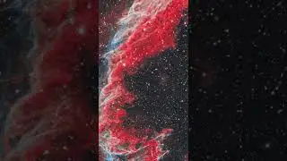 The Network Nebula in narrowband #astronomy #space #youtubeshorts #shorts