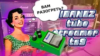 LEGENDARY GREEN! Ibanez TS9 Tube Screamer Review and History!