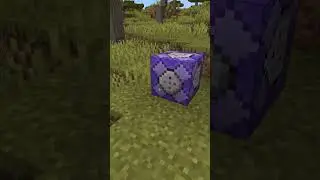 Troll your Minecraft Friends with THIS TRICK | 