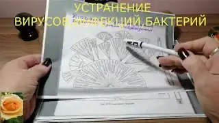 УСТРАНЕНИЕ ВИРУСОВ,ИНФЕКЦИЙ БАКТЕРИЙ  МНОГОМЕРНАЯ МЕДИЦИНА