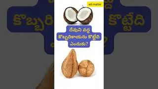 దేవుని వద్ద కొబ్బరికాయను కొట్టేది ఎందుకు?